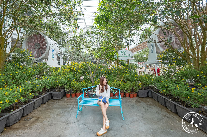 宜蘭景點》香草菲菲芳香植物博物館│天空花園步道這樣拍