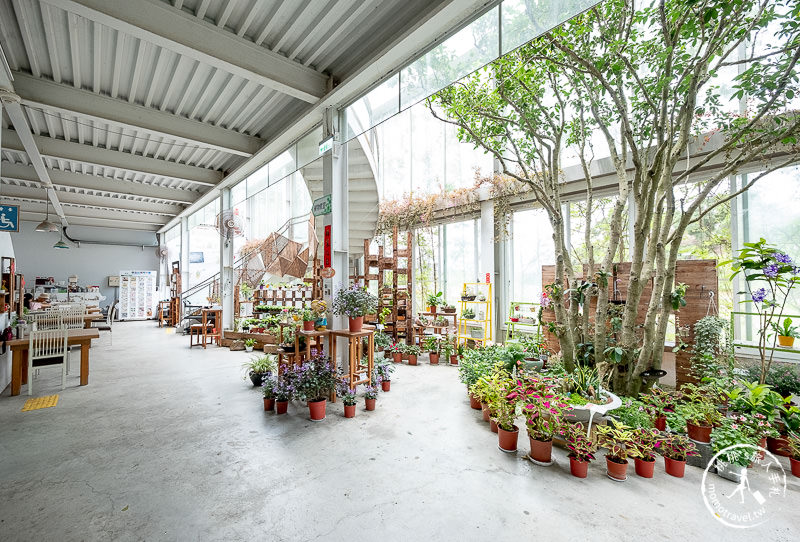 宜蘭景點》香草菲菲芳香植物博物館│天空花園步道這樣拍