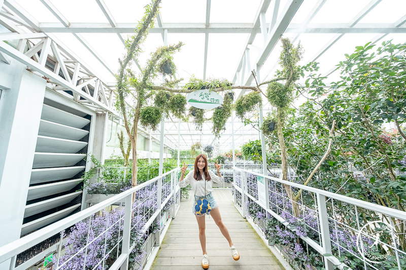 宜蘭景點》香草菲菲芳香植物博物館│天空花園步道這樣拍