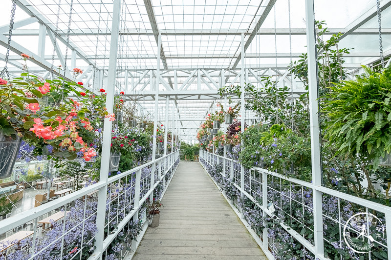 宜蘭景點》香草菲菲芳香植物博物館│天空花園步道這樣拍