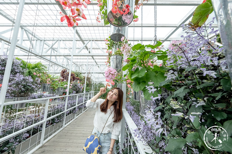 宜蘭景點》香草菲菲芳香植物博物館│天空花園步道這樣拍