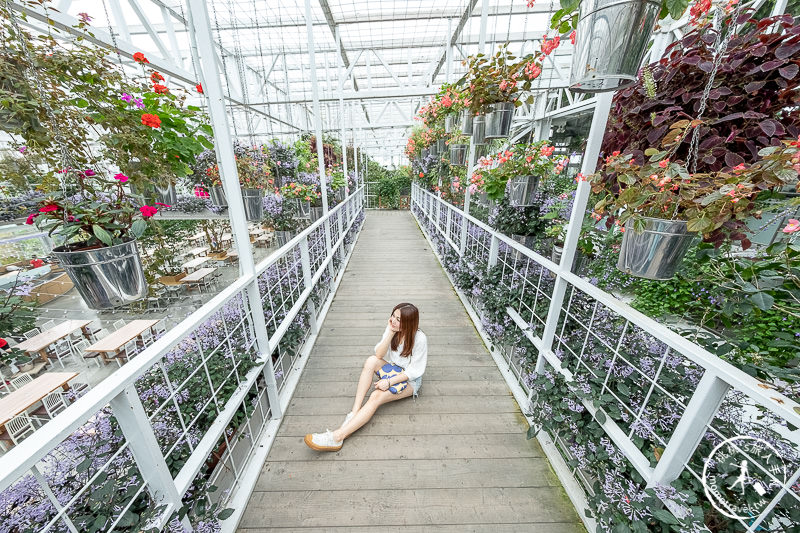 宜蘭景點》香草菲菲芳香植物博物館│天空花園步道這樣拍