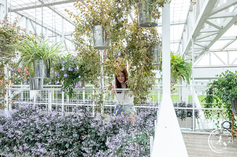 宜蘭景點》香草菲菲芳香植物博物館│天空花園步道這樣拍