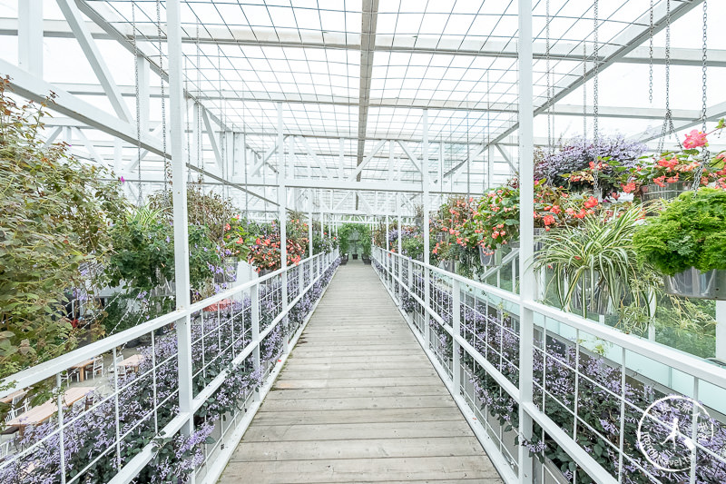 宜蘭景點》香草菲菲芳香植物博物館│天空花園步道這樣拍