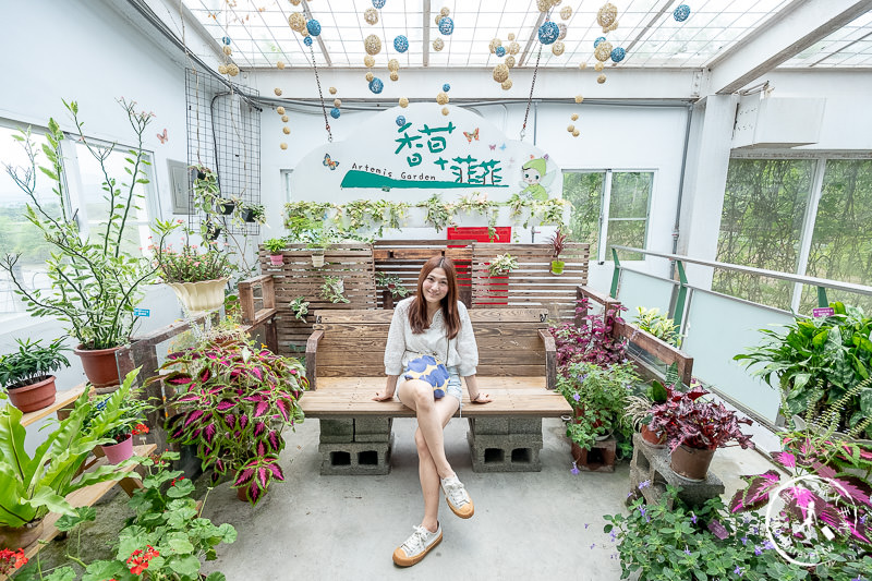 宜蘭景點》香草菲菲芳香植物博物館│天空花園步道這樣拍