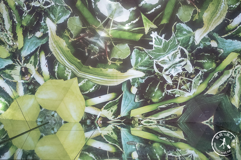 台北展覽》幻•彩•影 萬花筒特展│華麗奇幻場景拍不停！