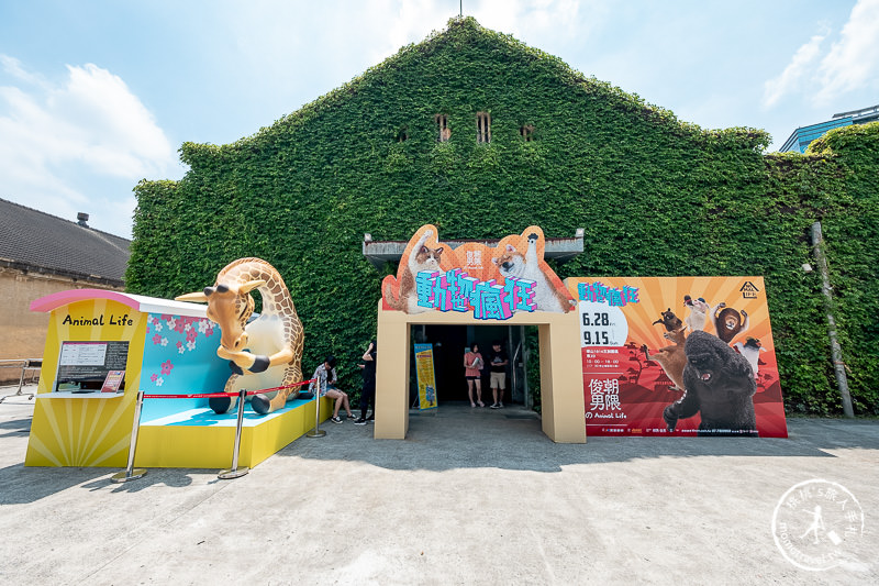 台北展覽》動物也瘋狂朝隈俊男的Animal Life│最新作品功夫大師登場！
