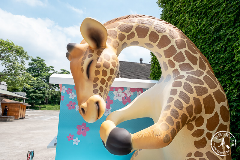 台北展覽》動物也瘋狂朝隈俊男的Animal Life│最新作品功夫大師登場！