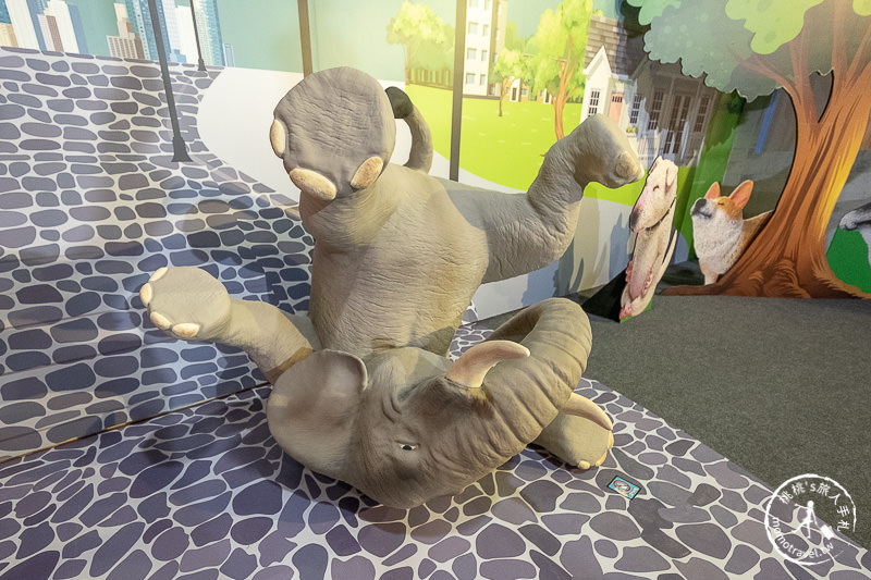 台北展覽》動物也瘋狂朝隈俊男的Animal Life│最新作品功夫大師登場！