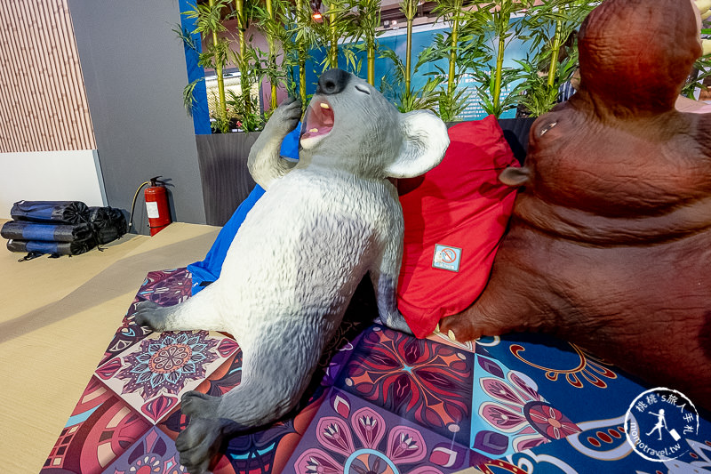 台北展覽》動物也瘋狂朝隈俊男的Animal Life│最新作品功夫大師登場！