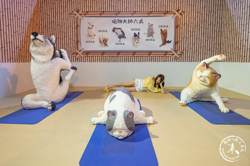 台北展覽》動物也瘋狂朝隈俊男的Animal Life│最新作品功夫大師登場！