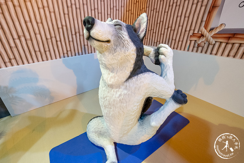 台北展覽》動物也瘋狂朝隈俊男的Animal Life│最新作品功夫大師登場！