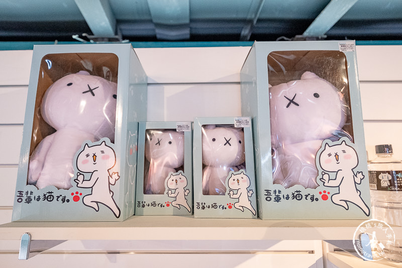 台北展覽》反應過激的貓-盛夏3周年特展│熱血激動無極限！