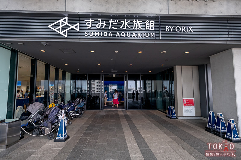 東京景點》墨田水族館半日遊│藏在晴空塔裡的海洋世界