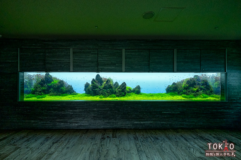 東京景點》墨田水族館半日遊│藏在晴空塔裡的海洋世界