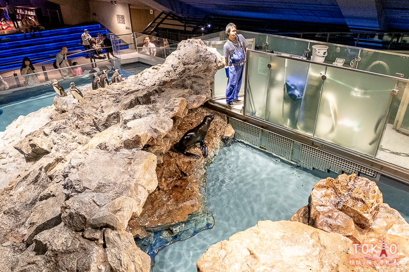 東京景點》墨田水族館半日遊│藏在晴空塔裡的海洋世界