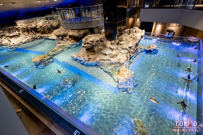 東京景點》墨田水族館半日遊│藏在晴空塔裡的海洋世界