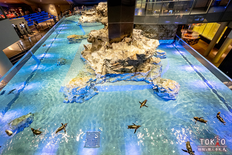 東京景點》墨田水族館半日遊│藏在晴空塔裡的海洋世界