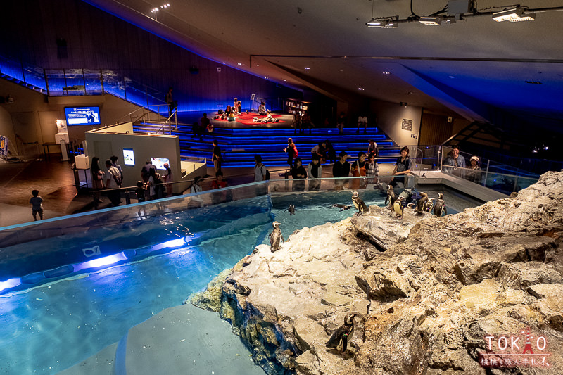 東京景點》墨田水族館半日遊│藏在晴空塔裡的海洋世界