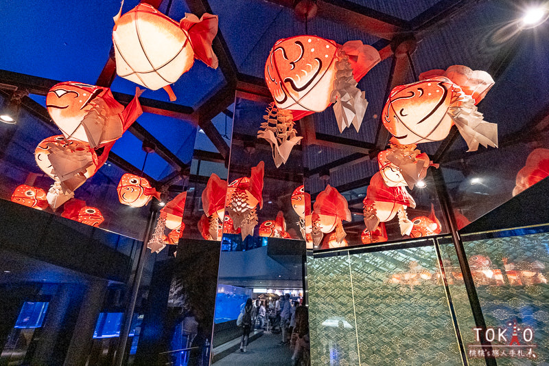 東京景點》墨田水族館半日遊│藏在晴空塔裡的海洋世界