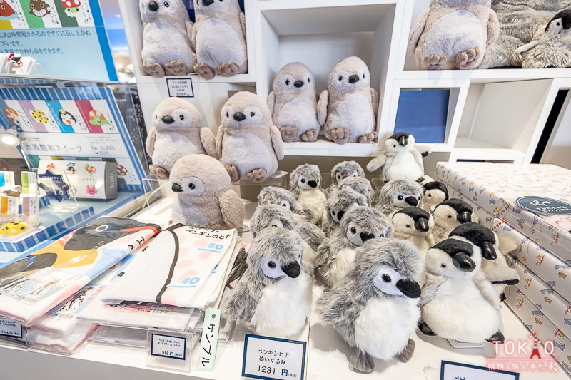 東京景點》墨田水族館半日遊│藏在晴空塔裡的海洋世界