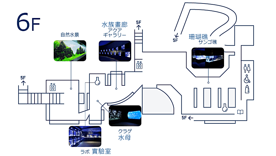 東京景點》墨田水族館半日遊│藏在晴空塔裡的海洋世界