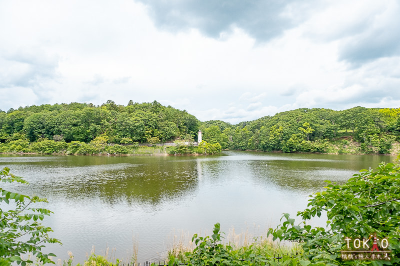 東京景點》嚕嚕米公園Moomin Valley Park│日本埼玉縣飯能主題樂園遊園攻略