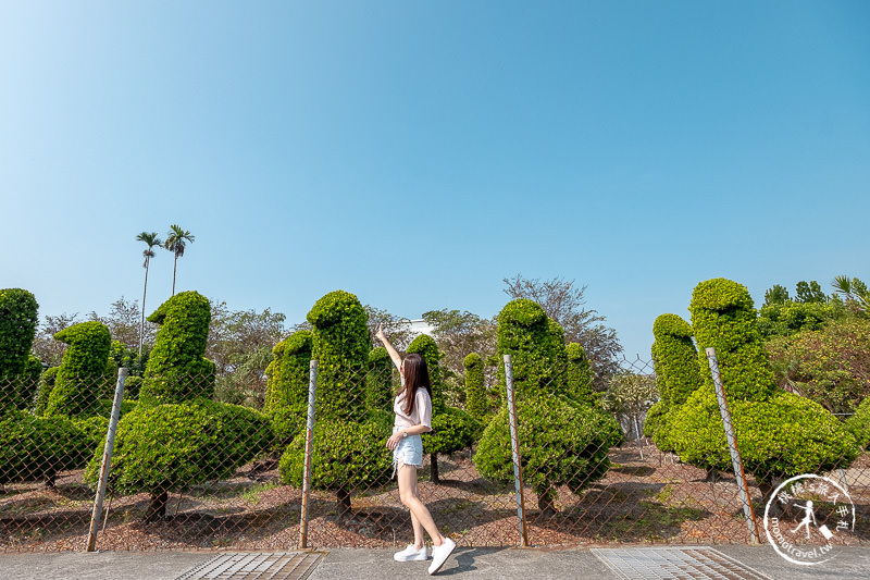 彰化景點》巨大鵝群小森林│可愛造型一棵棵排排站