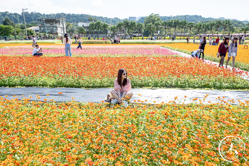 2019桃園花彩節》必看3大展區花海推薦:大溪.中壢.平鎮│景點地址拍照攻略