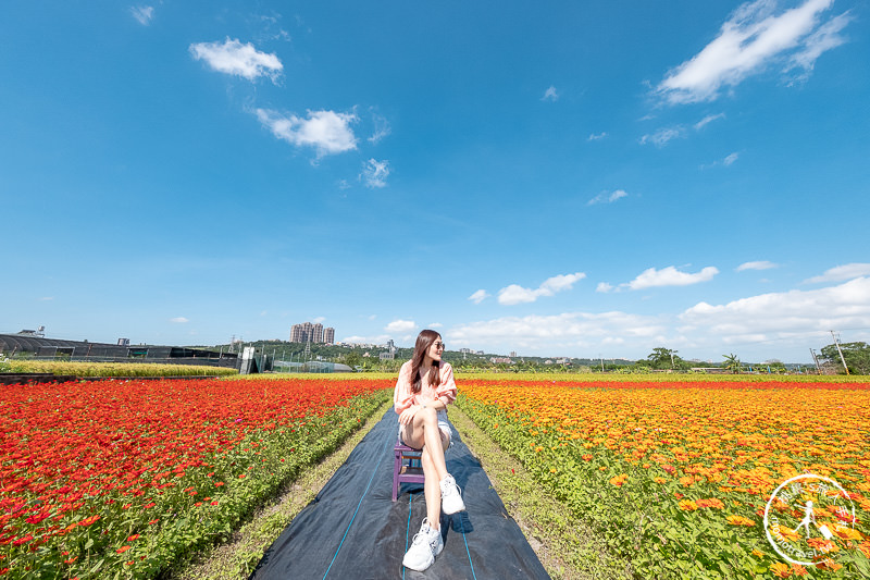 2019桃園花彩節》必看3大展區花海推薦:大溪.中壢.平鎮│景點地址拍照攻略