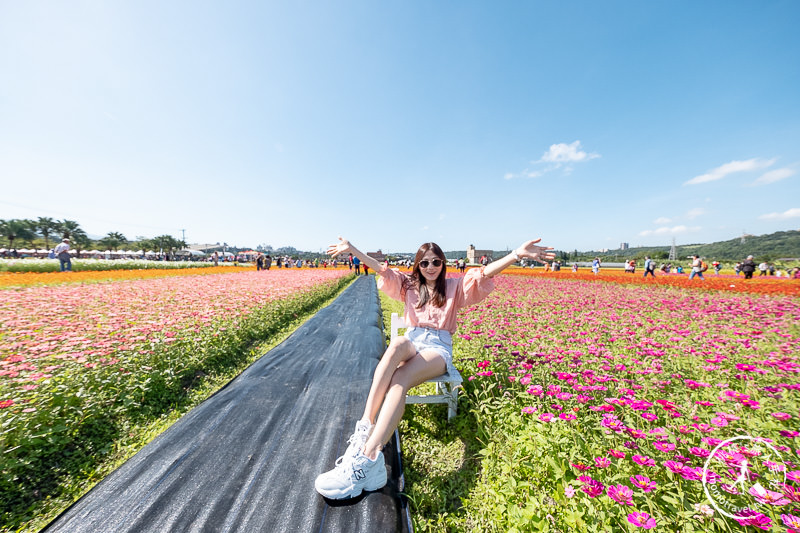 2019桃園花彩節》必看3大展區花海推薦:大溪.中壢.平鎮│景點地址拍照攻略