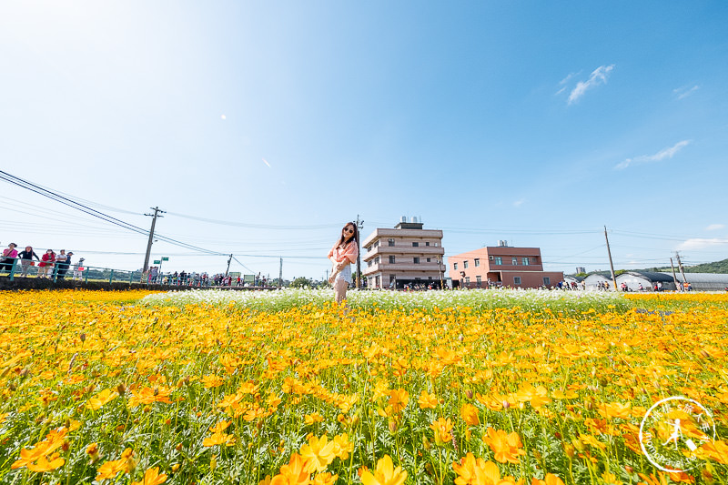 2019桃園花彩節》必看3大展區花海推薦:大溪.中壢.平鎮│景點地址拍照攻略