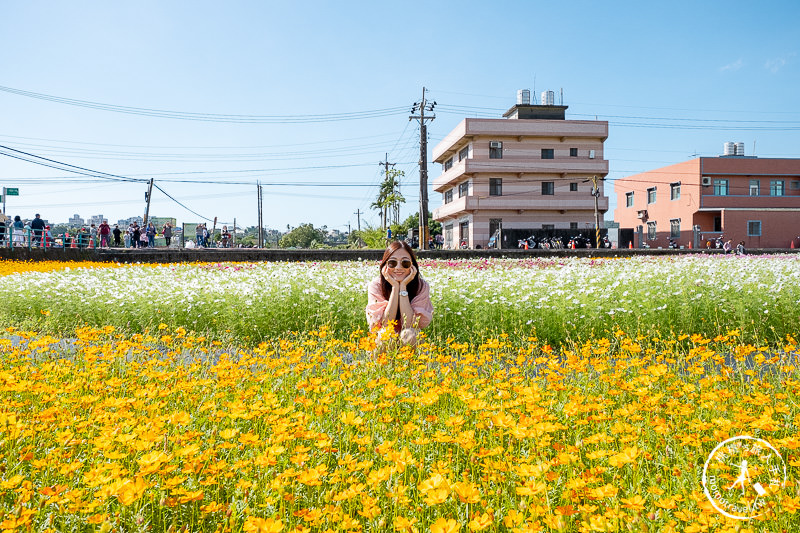 2019桃園花彩節》必看3大展區花海推薦:大溪.中壢.平鎮│景點地址拍照攻略