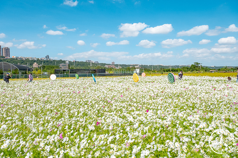 2019桃園花彩節》必看3大展區花海推薦:大溪.中壢.平鎮│景點地址拍照攻略