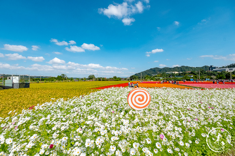 2019桃園花彩節》必看3大展區花海推薦:大溪.中壢.平鎮│景點地址拍照攻略