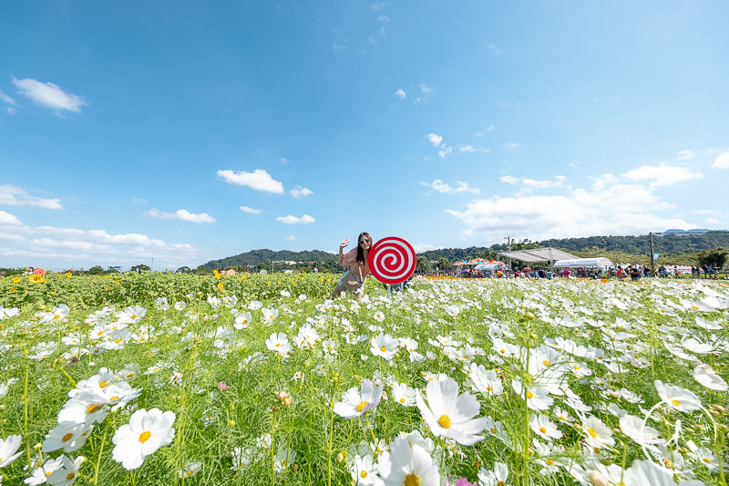 2019桃園花彩節》必看3大展區花海推薦:大溪.中壢.平鎮│景點地址拍照攻略