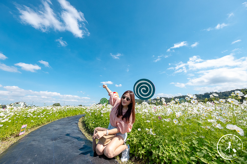 2019桃園花彩節》必看3大展區花海推薦:大溪.中壢.平鎮│景點地址拍照攻略