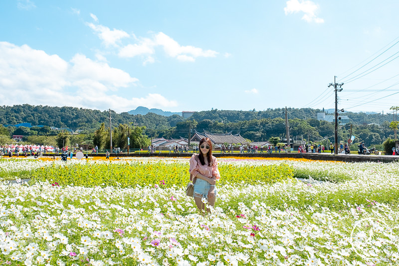 2019桃園花彩節》必看3大展區花海推薦:大溪.中壢.平鎮│景點地址拍照攻略