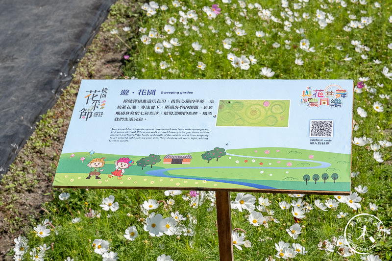 2019桃園花彩節》必看3大展區花海推薦:大溪.中壢.平鎮│景點地址拍照攻略