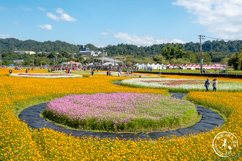 2019桃園花彩節》必看3大展區花海推薦:大溪.中壢.平鎮│景點地址拍照攻略