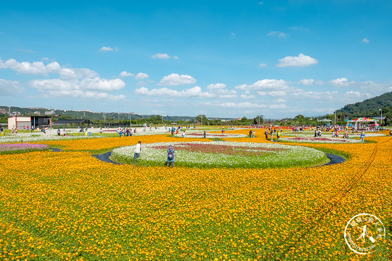 2019桃園花彩節》必看3大展區花海推薦:大溪.中壢.平鎮│景點地址拍照攻略