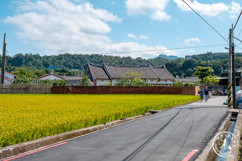 2019桃園花彩節》必看3大展區花海推薦:大溪.中壢.平鎮│景點地址拍照攻略