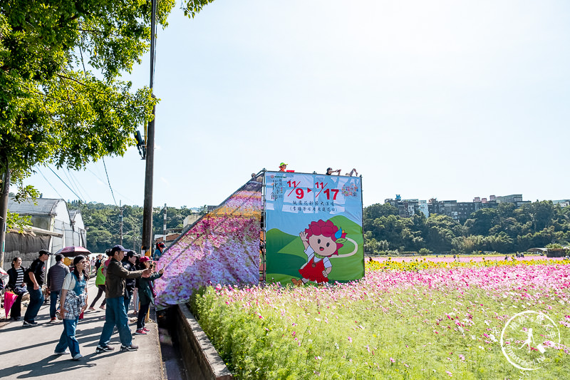 2019桃園花彩節》必看3大展區花海推薦:大溪.中壢.平鎮│景點地址拍照攻略