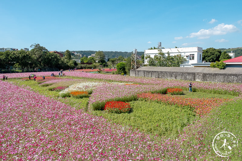 2019桃園花彩節》必看3大展區花海推薦:大溪.中壢.平鎮│景點地址拍照攻略