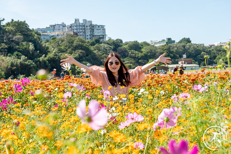 2019桃園花彩節》必看3大展區花海推薦:大溪.中壢.平鎮│景點地址拍照攻略