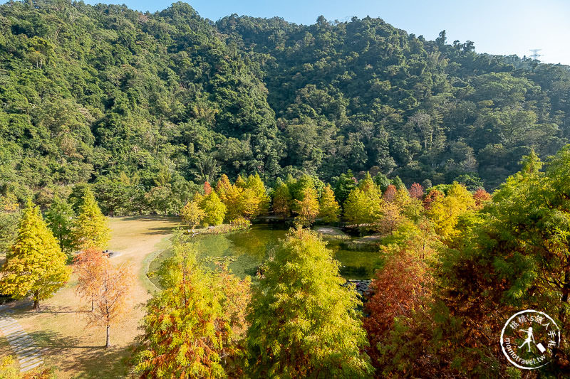 苗栗景點》南庄雲水度假森林│山中湖畔落羽松仙境