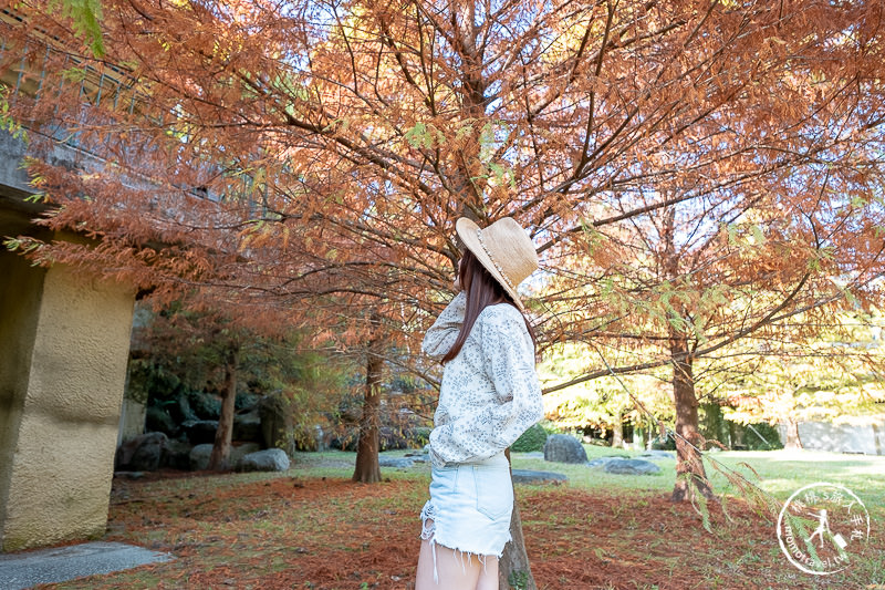 苗栗景點》南庄雲水度假森林│山中湖畔落羽松仙境