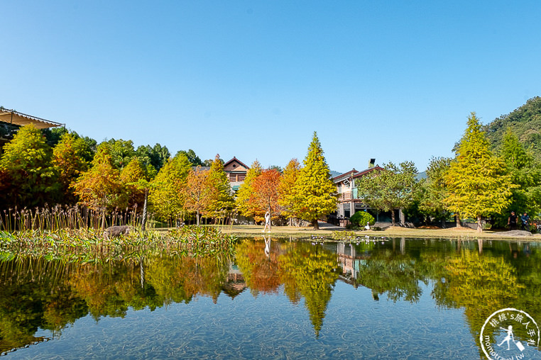 苗栗景點》南庄雲水度假森林│山中湖畔落羽松仙境