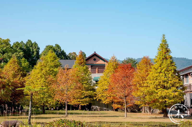 苗栗景點》南庄雲水度假森林│山中湖畔落羽松仙境