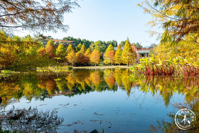 苗栗景點》南庄雲水度假森林│山中湖畔落羽松仙境